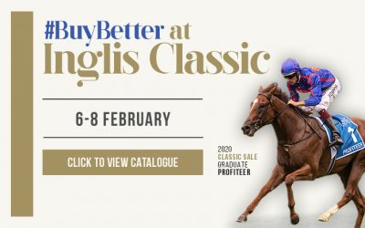 INGLIS 2022 CLASSIC YEARLING SALE – 6-8 FEBRUARY