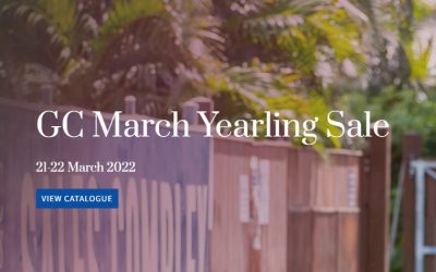 MAGIC MILLIONS 2022 MARCH YEARLING SALE – 21-22 MARCH 2022