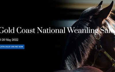MAGIC MILLIONS 2022 NATIONAL WEANLING SALE – 19-20 MAY