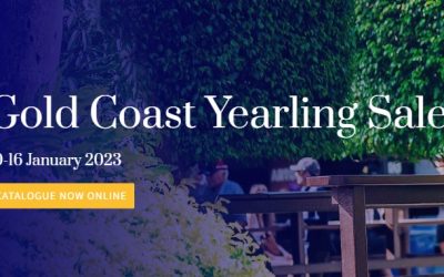 MAGIC MILLIONS 2023 GOLD COAST YEARLING SALE – 10 – 16 January