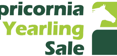 CAPRICORNIA YEARLING SALE – 2 APRIL 2023