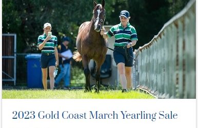 MAGIC MILLIONS 2023 GOLD COAST MARCH YEARLING SALE – 20 – 21 MARCH