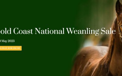 MAGIC MILLIONS 2023 NATIONAL WEANLING SALE – 18-19 MAY