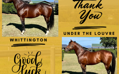 Farewell to Whittington and Under The Louvre